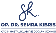 semra kibris logo